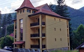 Fenyő Villa Bradul